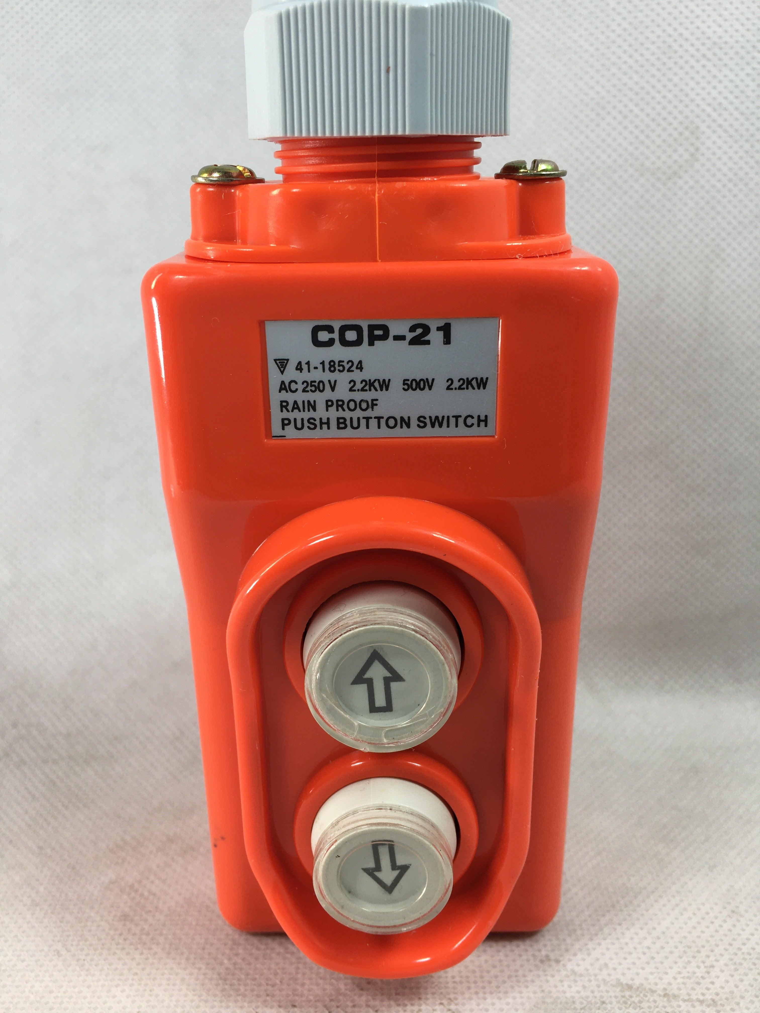 COP-21 AC250V UP-DOWN Two Push Button Crane Hoist Switch Rainproof in Pakistan - industryparts.pk