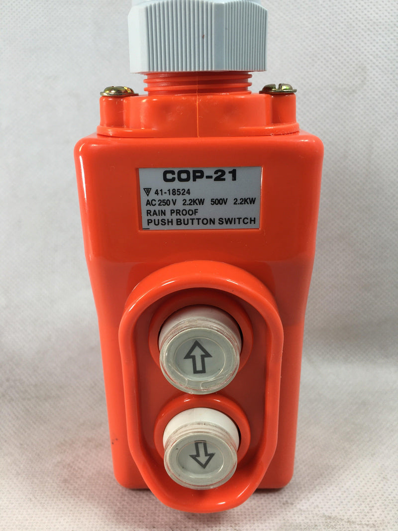 COP-21 AC250V UP-DOWN Two Push Button Crane Hoist Switch Rainproof in Pakistan - industryparts.pk