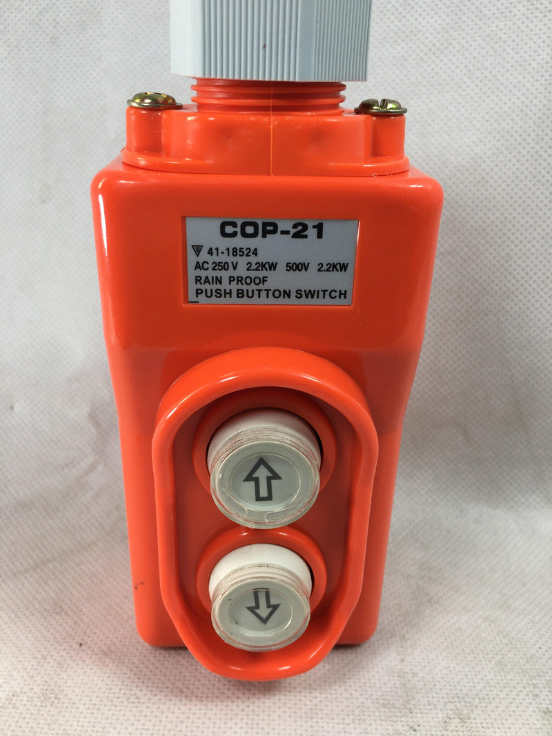 COP-21 AC250V UP-DOWN Two Push Button Crane Hoist Switch Rainproof in Pakistan - industryparts.pk