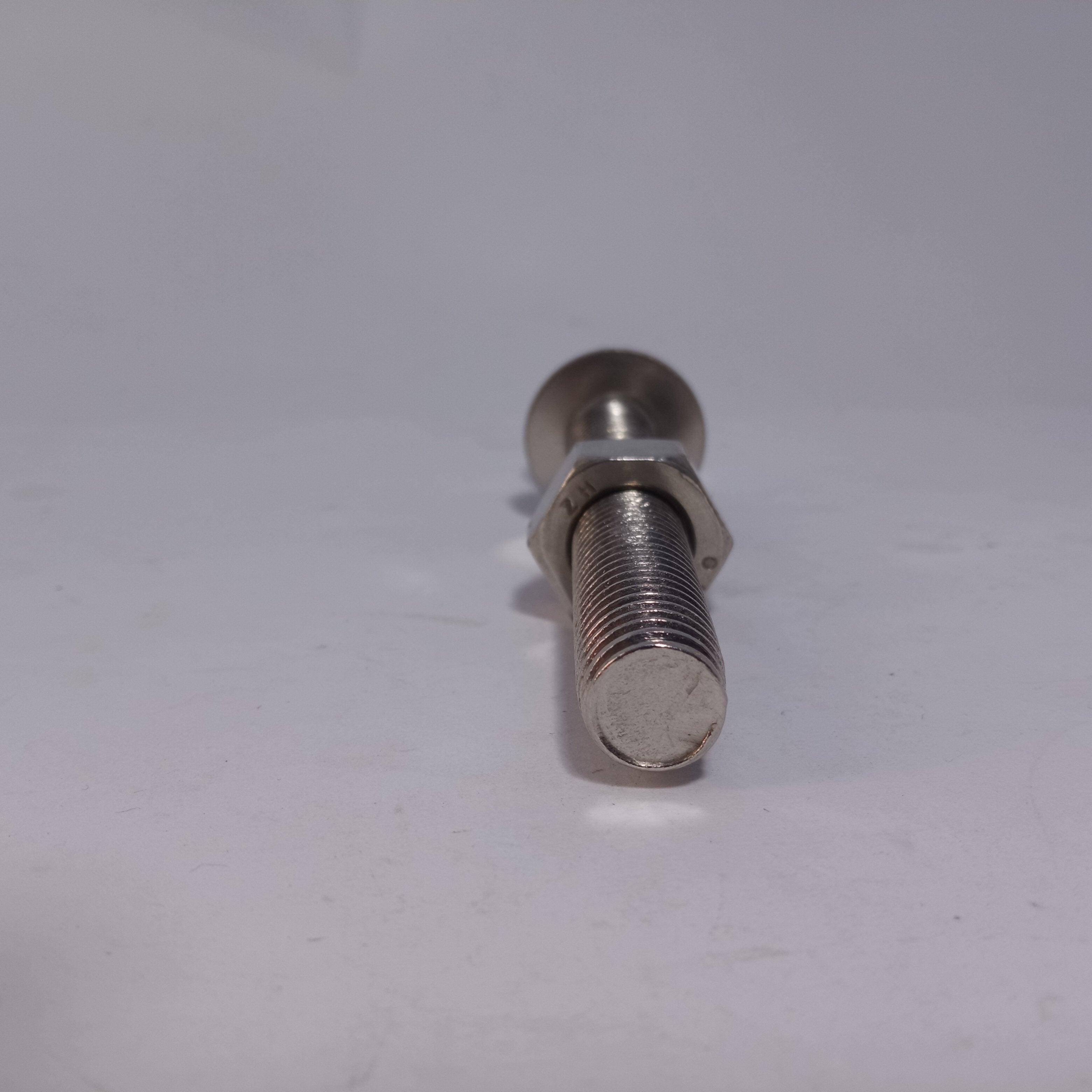 Nut bolt SS BOLT  Stainless steel screw in Pakistan - industryparts.pk