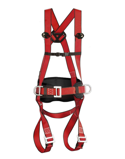 CLIMAX MAXIPRO Fall Protection Full Body Harness in Pakistan