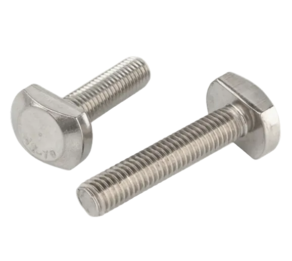 Stainless Steel T-Head Bolt in Pakistan