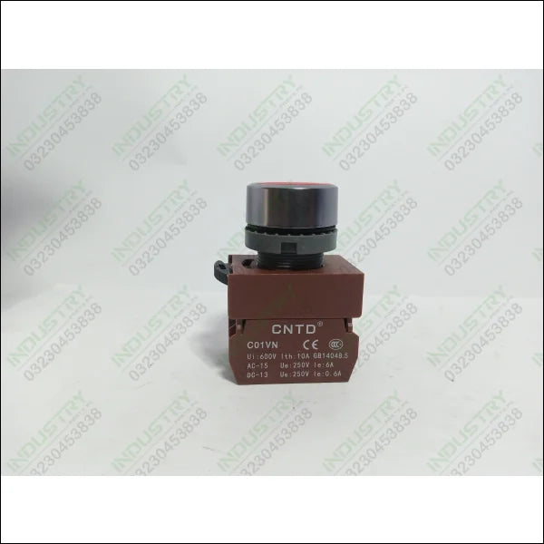 CNTD C01VN Flat Head Button Switch Power in Pakistan - industryparts.pk