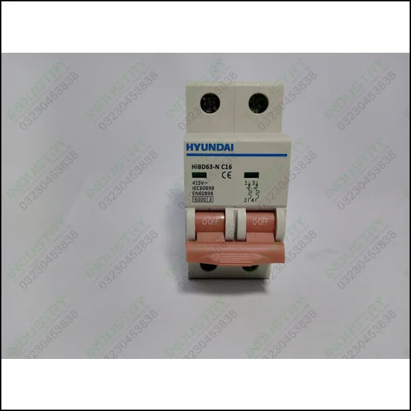 HYUNDAI Miniature Circuit Breaker 2Pole EN60898 415V (HIBD63) - industryparts.pk