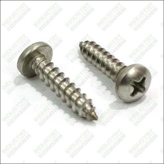 Pan Head Wood Screws (100 pc) taping screw - industryparts.pk