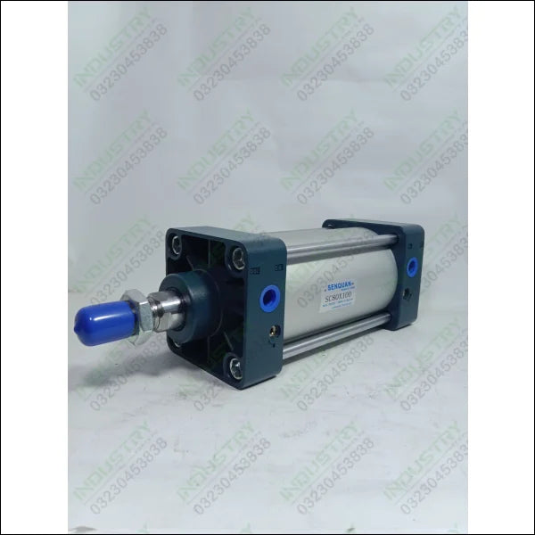 SENQUAN SC80X100 Standard Air Cylinder in Pakistan