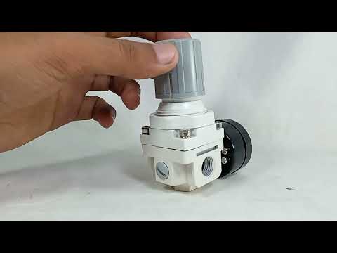 AR2000-02 Adjustable Air Regulator Pressure Gauge Reducing Valve Sign in Pakistan
